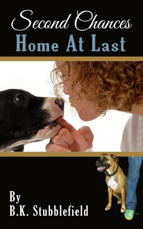 Cover of the book Home At Last by B.K. Stubblefield, Birgit Stubblefield