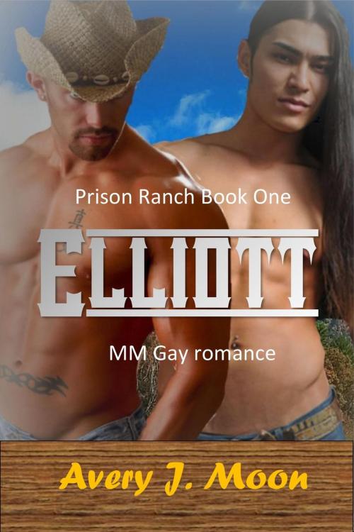 Cover of the book Elliott by Avery J. Moon, Avery J. Moon