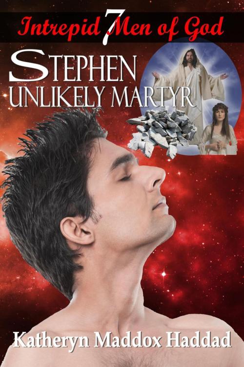 Cover of the book Stephen: Unlikely Martyr by Katheryn Maddox Haddad, Northern Lights Publishing House