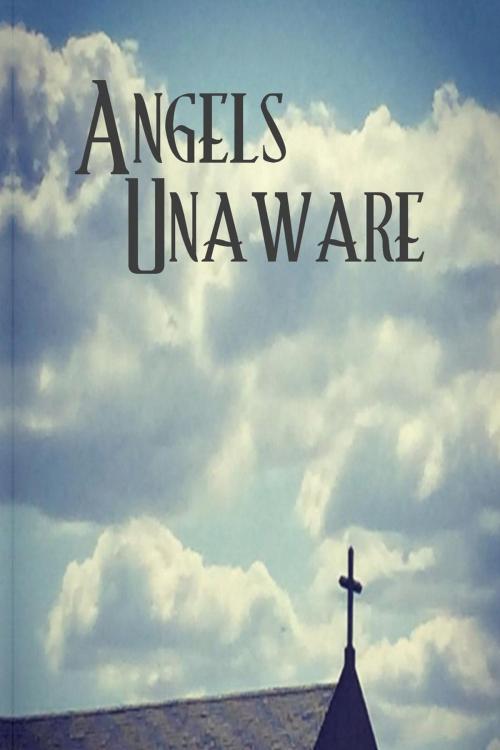 Cover of the book Angels Unaware by DH Barbara, Rushing Wind Media