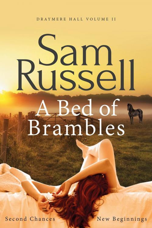 Cover of the book A Bed of Brambles by Sam Russell, Sam Russell