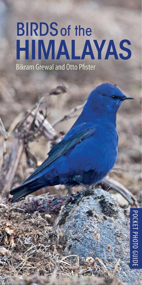 Cover of the book Birds of the Himalayas by Bikram Grewal, Bloomsbury Publishing