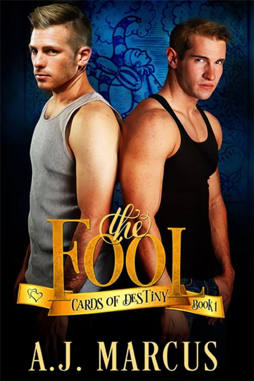 Cover of the book The Fool by A.J. Marcus, eXtasy Books Inc