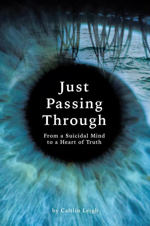 Cover of the book Just Passing Through by Caitlin Leigh, Balboa Press