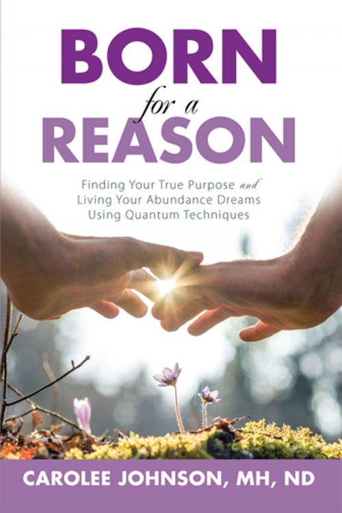 Cover of the book Born for a Reason by Carolee Johnson MH ND, Balboa Press