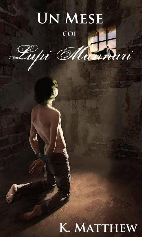 Cover of the book Un Mese coi Lupi Mannari by K. Matthew, Babelcube Inc.