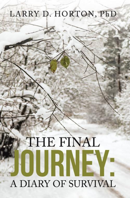 Cover of the book The Final Journey: by Larry D. Horton PhD, WestBow Press