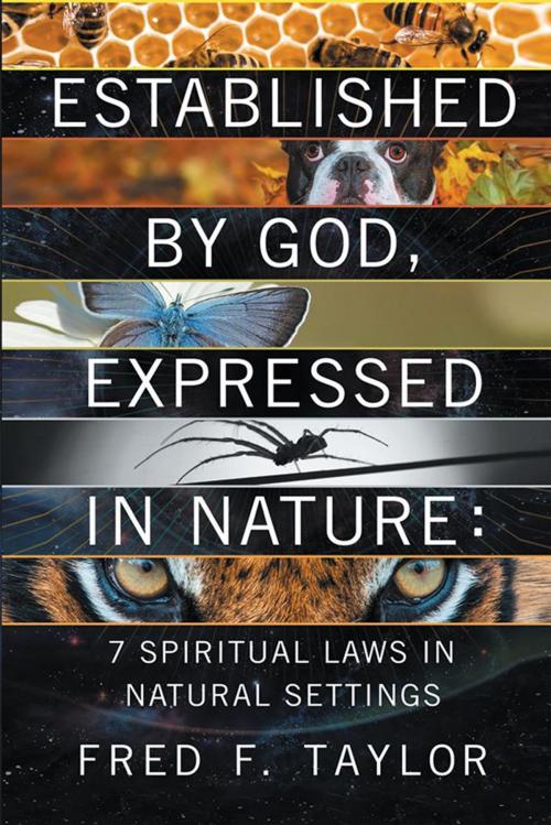 Cover of the book Established by God, Expressed in Nature by Fred F. Taylor, Xlibris US