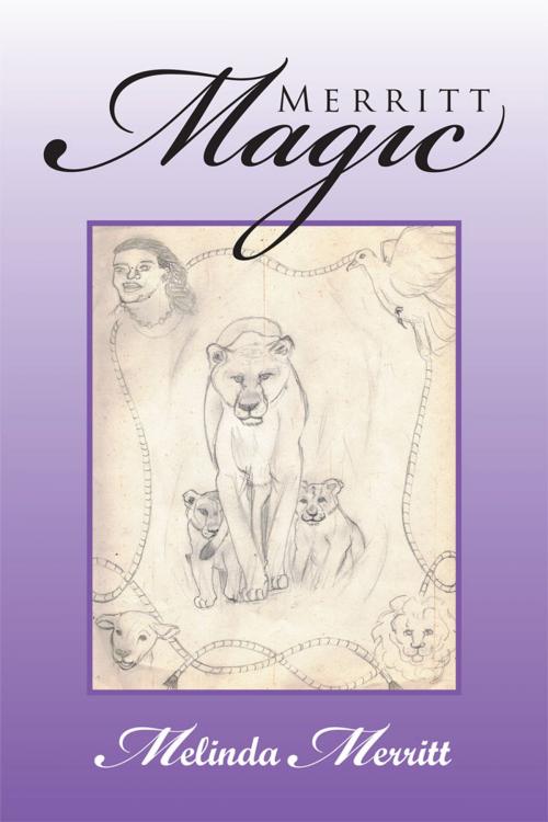 Cover of the book Merritt Magic by Melinda Merritt, Xlibris US