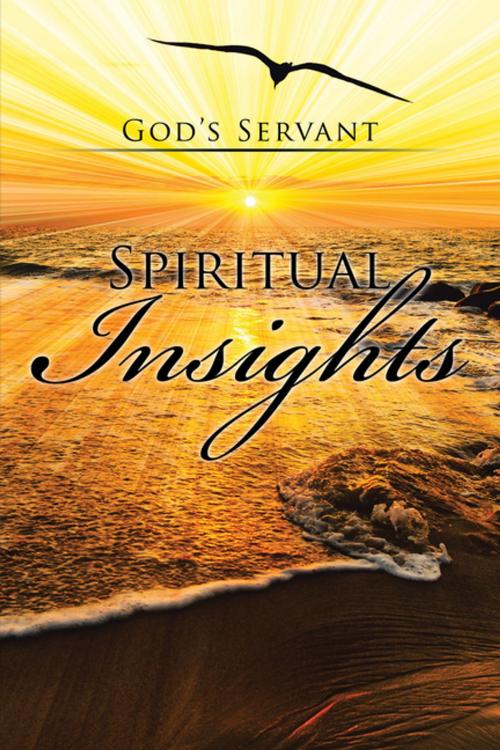 Cover of the book Spiritual Insights by God’s Servant, Xlibris US