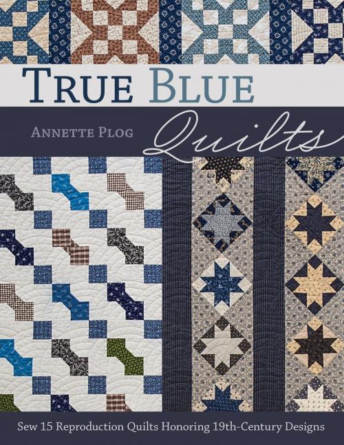 Cover of the book True Blue Quilts by Annette Plog, C&T Publishing