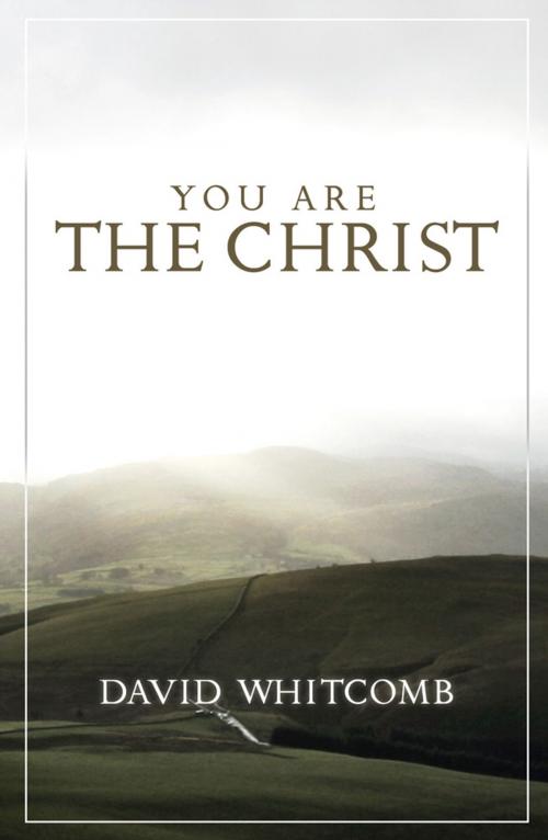 Cover of the book You Are the Christ by David Whitcomb, Ambassador International