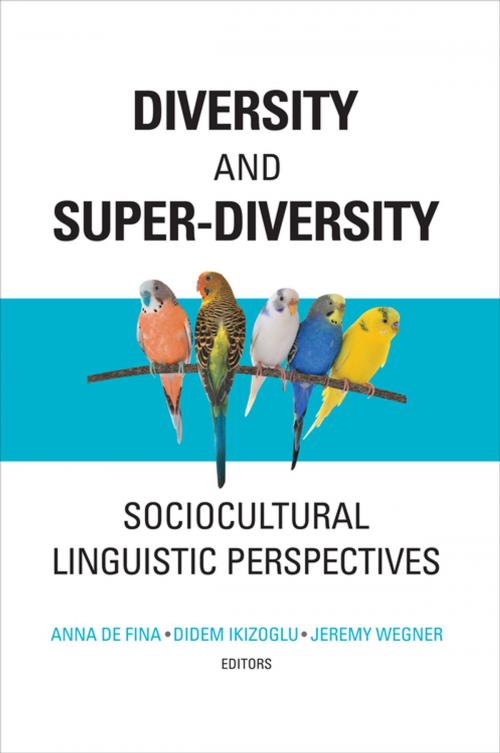Cover of the book Diversity and Super-Diversity by , Georgetown University Press