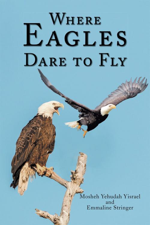 Cover of the book Where Eagles Dare to Fly by Mosheh Yehudah Yisrael, Emmaline Stringer, Page Publishing, Inc.