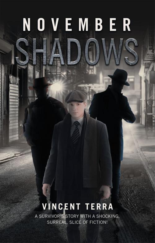 Cover of the book November Shadows by Vincent Terra, Page Publishing, Inc.