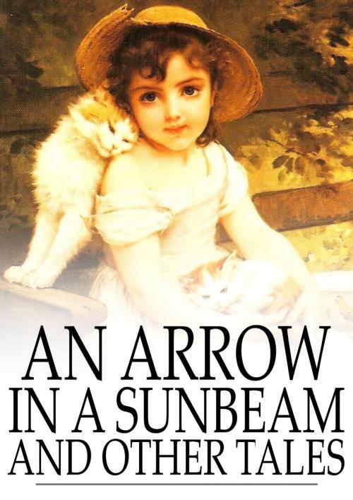 Cover of the book An Arrow in a Sunbeam by Sarah Orne Jewett, C. S. Sleight, Frances Lee, The Floating Press