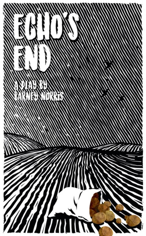 Cover of the book Echo's End by Barney Norris, Oberon Books