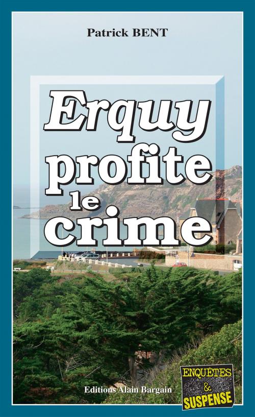 Cover of the book Erquy profite le crime by Patrick Bent, Editions Alain Bargain