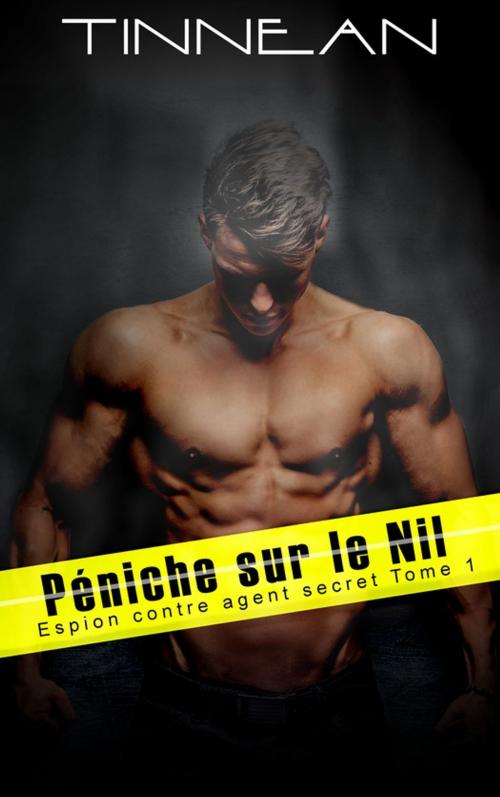 Cover of the book Péniche sur le Nil by Tinnean, Juno Publishing