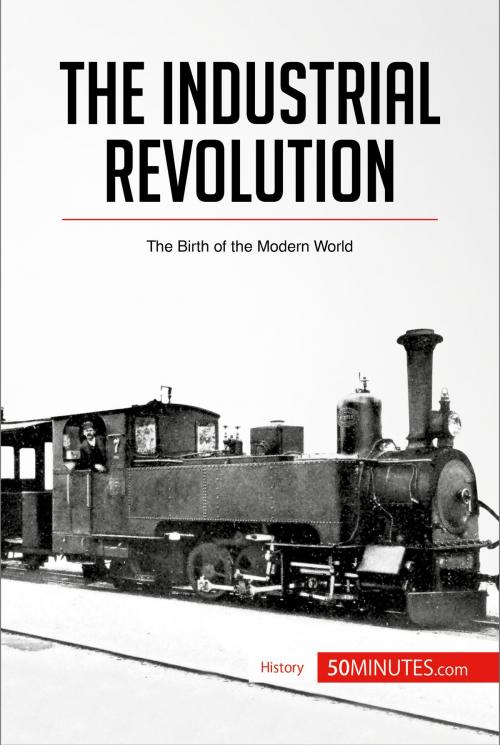 Cover of the book The Industrial Revolution by 50MINUTES.COM, 50Minutes.com