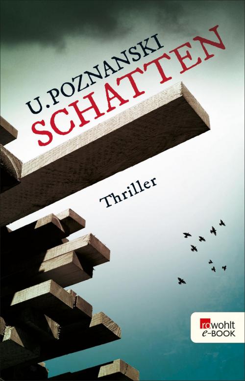 Cover of the book Schatten by Ursula Poznanski, Rowohlt E-Book