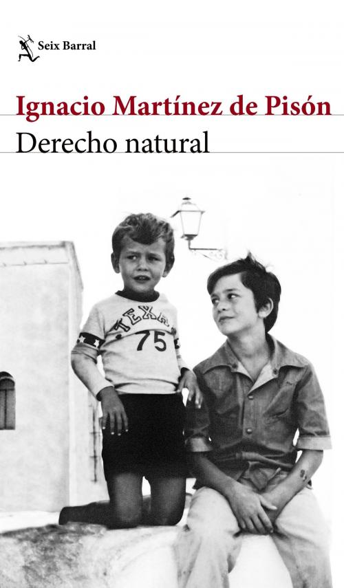 Cover of the book Derecho natural by Ignacio Martínez de Pisón, Grupo Planeta