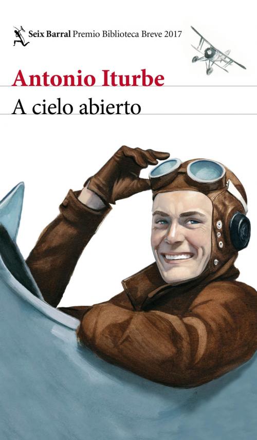 Cover of the book A cielo abierto by Antonio Iturbe, Grupo Planeta