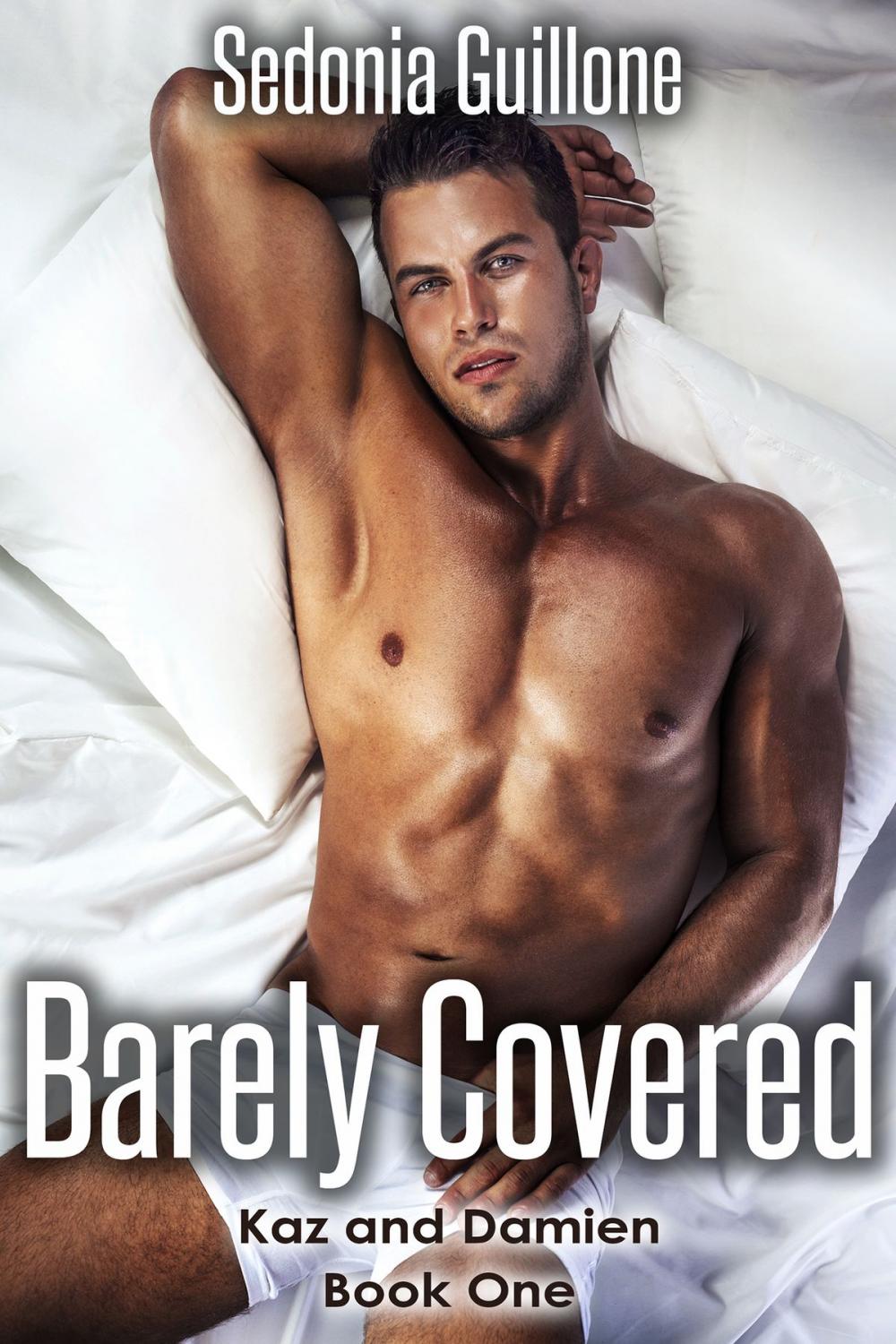 Big bigCover of Barely Covered