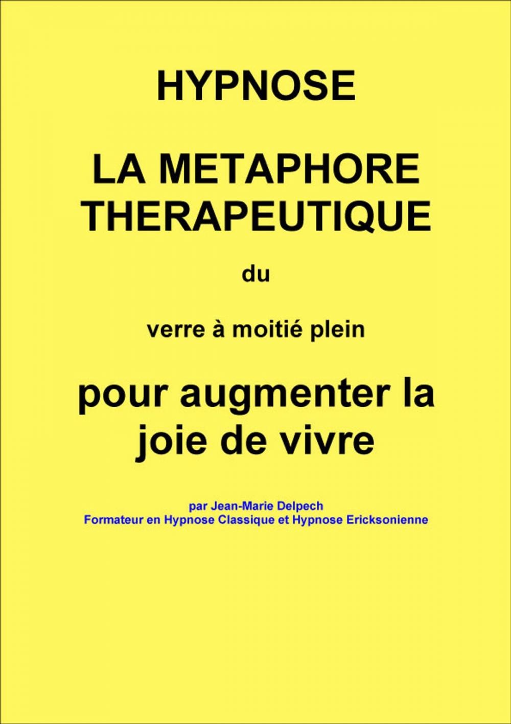 Big bigCover of La métaphore du verre à moitié plein