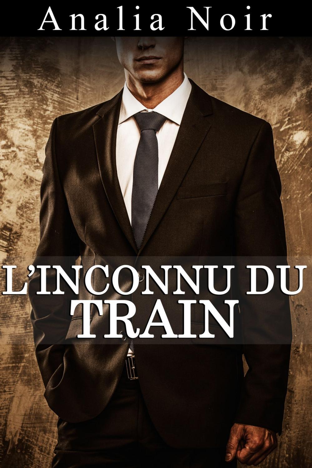 Big bigCover of L'Inconnu du Train