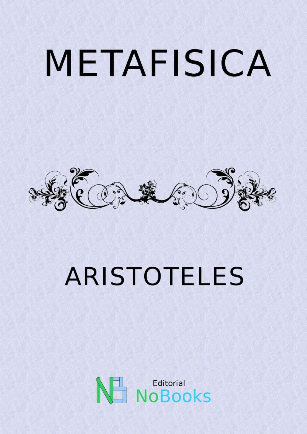 Big bigCover of Metafisica