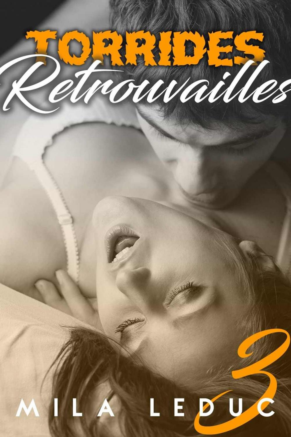 Big bigCover of Torrides Retrouvailles (TOME 3)