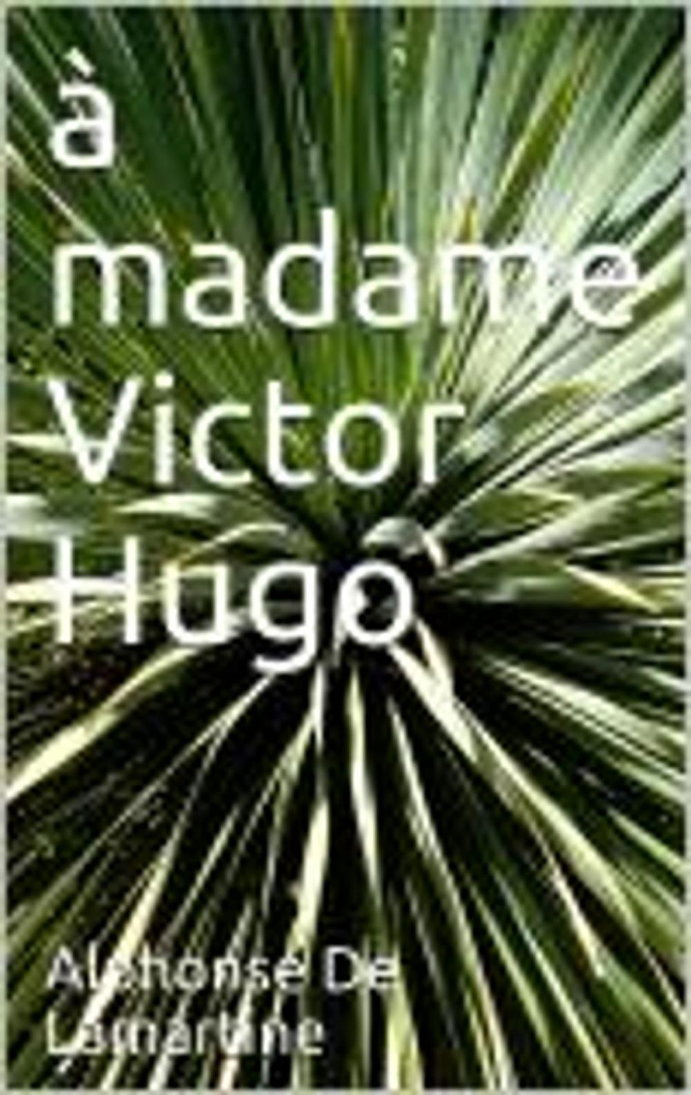 Big bigCover of A madame Victor Hugo