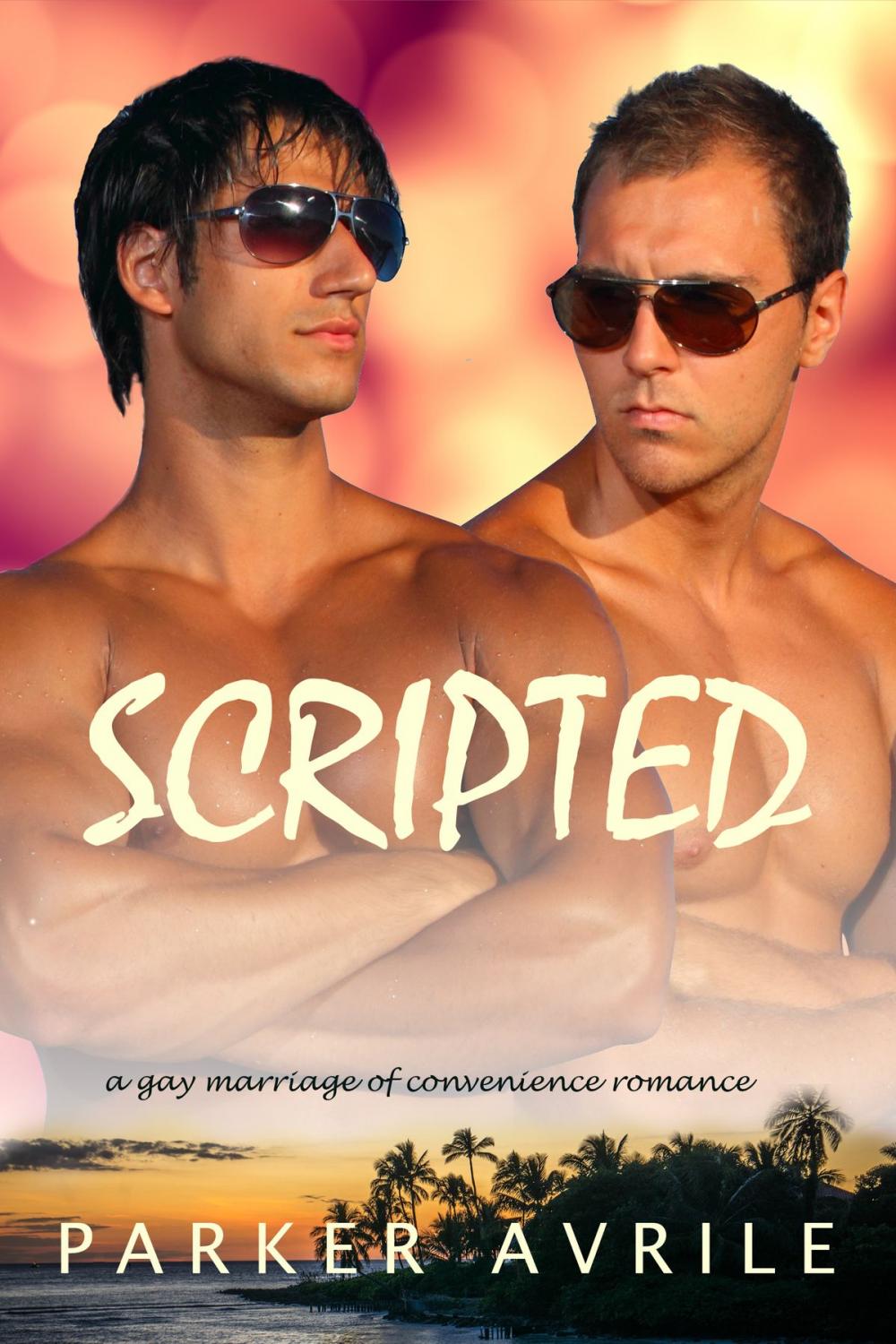 Big bigCover of Scripted