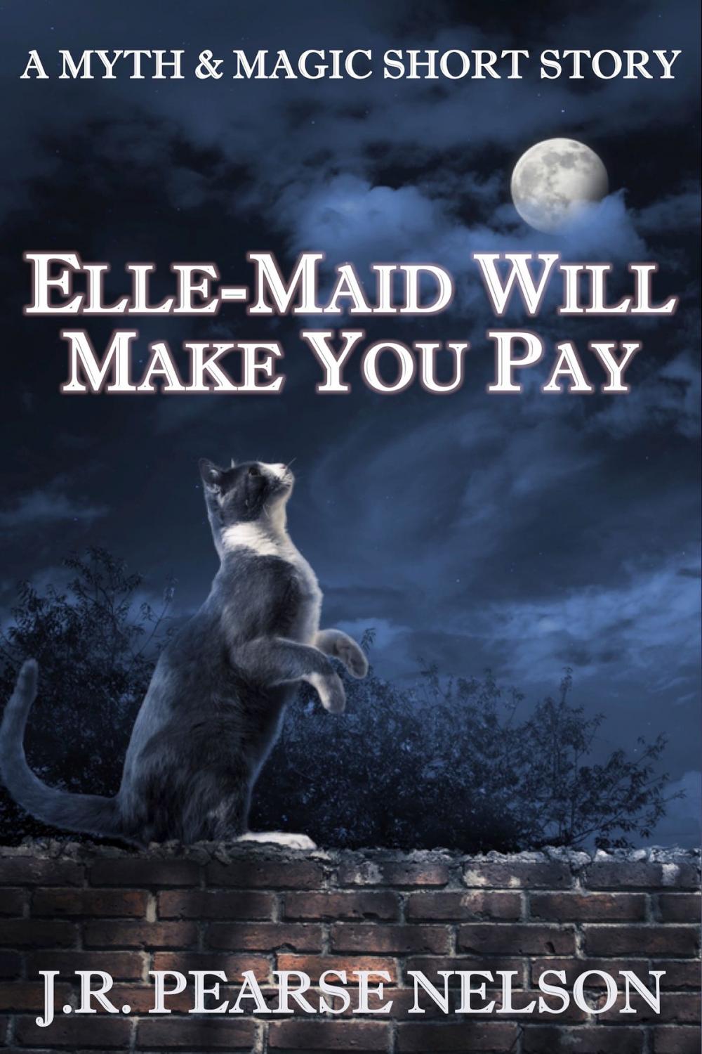 Big bigCover of Elle-Maid Will Make You Pay