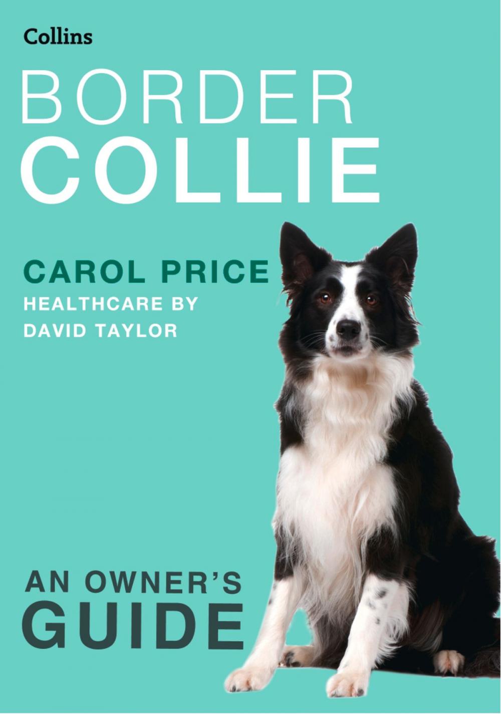 Big bigCover of Border Collie (Collins Dog Owner’s Guide)