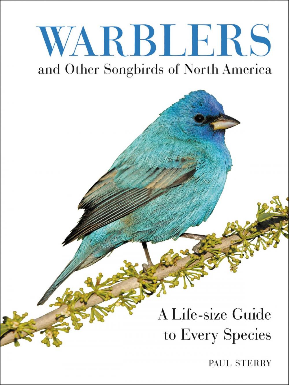 Big bigCover of Warblers and Other Songbirds of North America