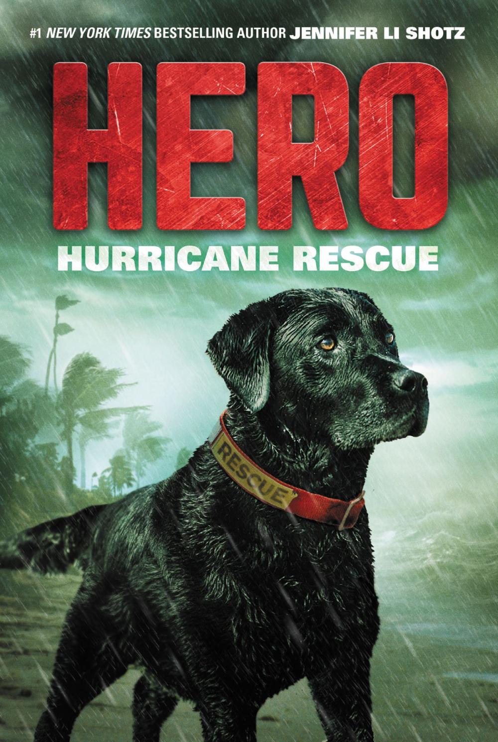 Big bigCover of Hero: Hurricane Rescue