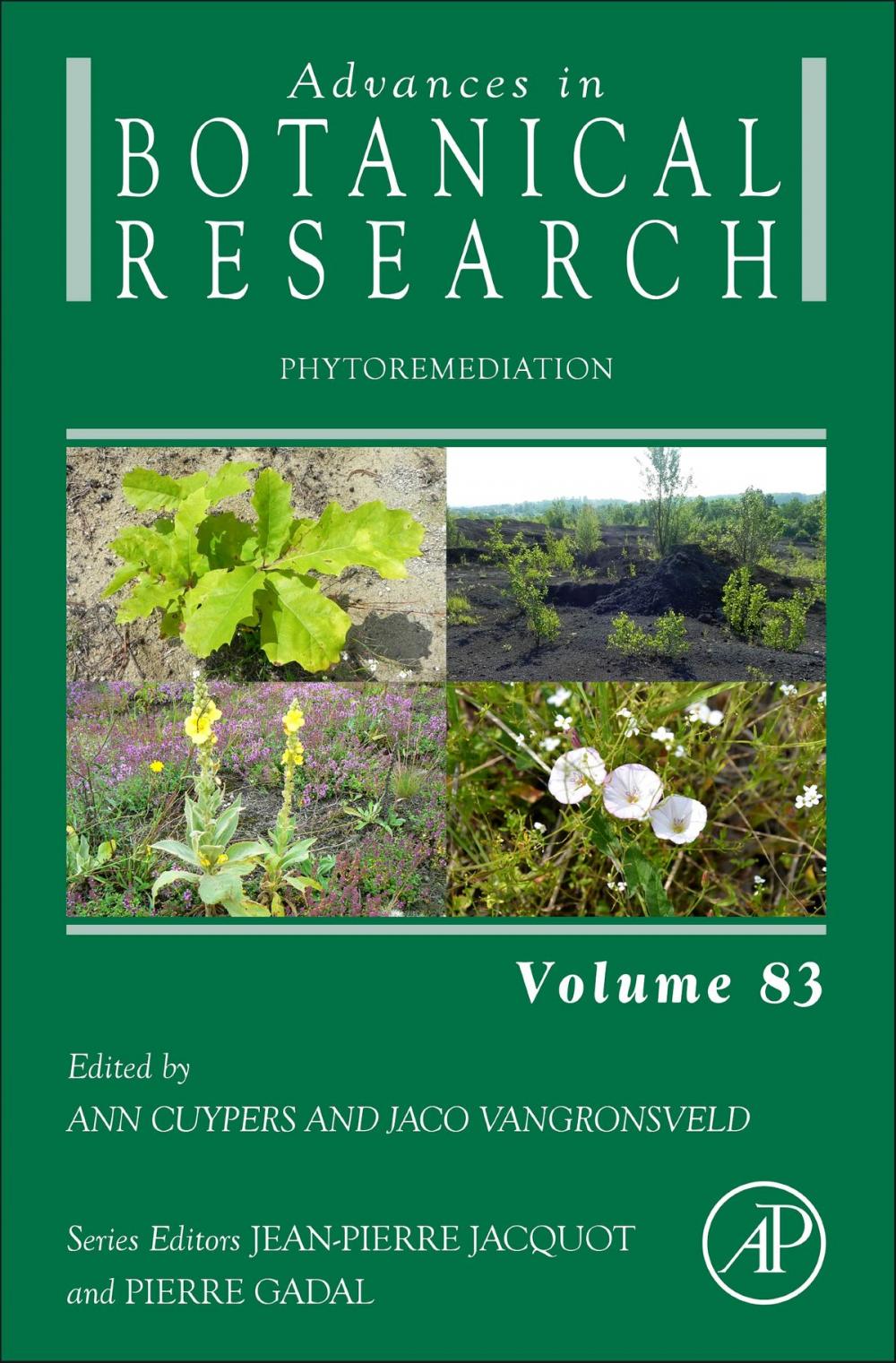 Big bigCover of Phytoremediation