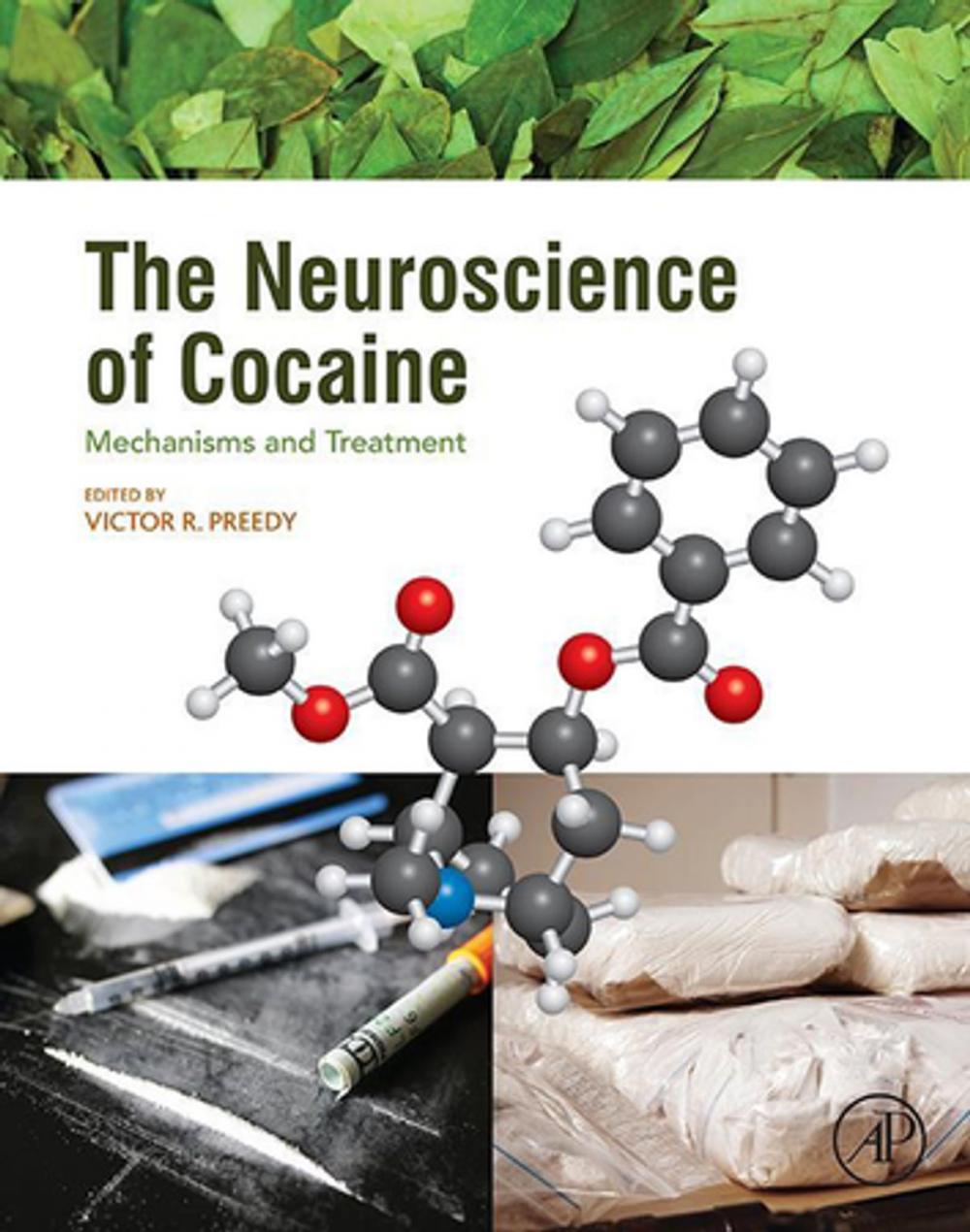 Big bigCover of The Neuroscience of Cocaine