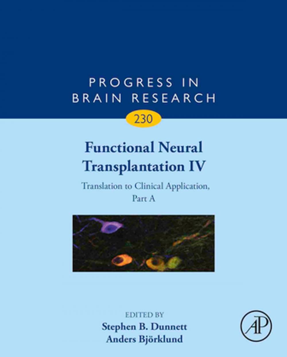 Big bigCover of Functional Neural Transplantation IV