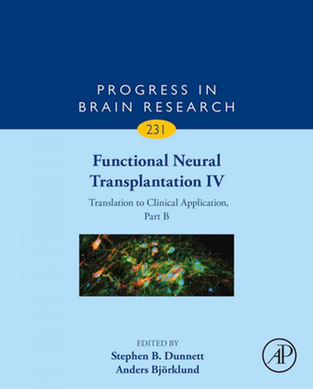 Big bigCover of Functional Neural Transplantation IV