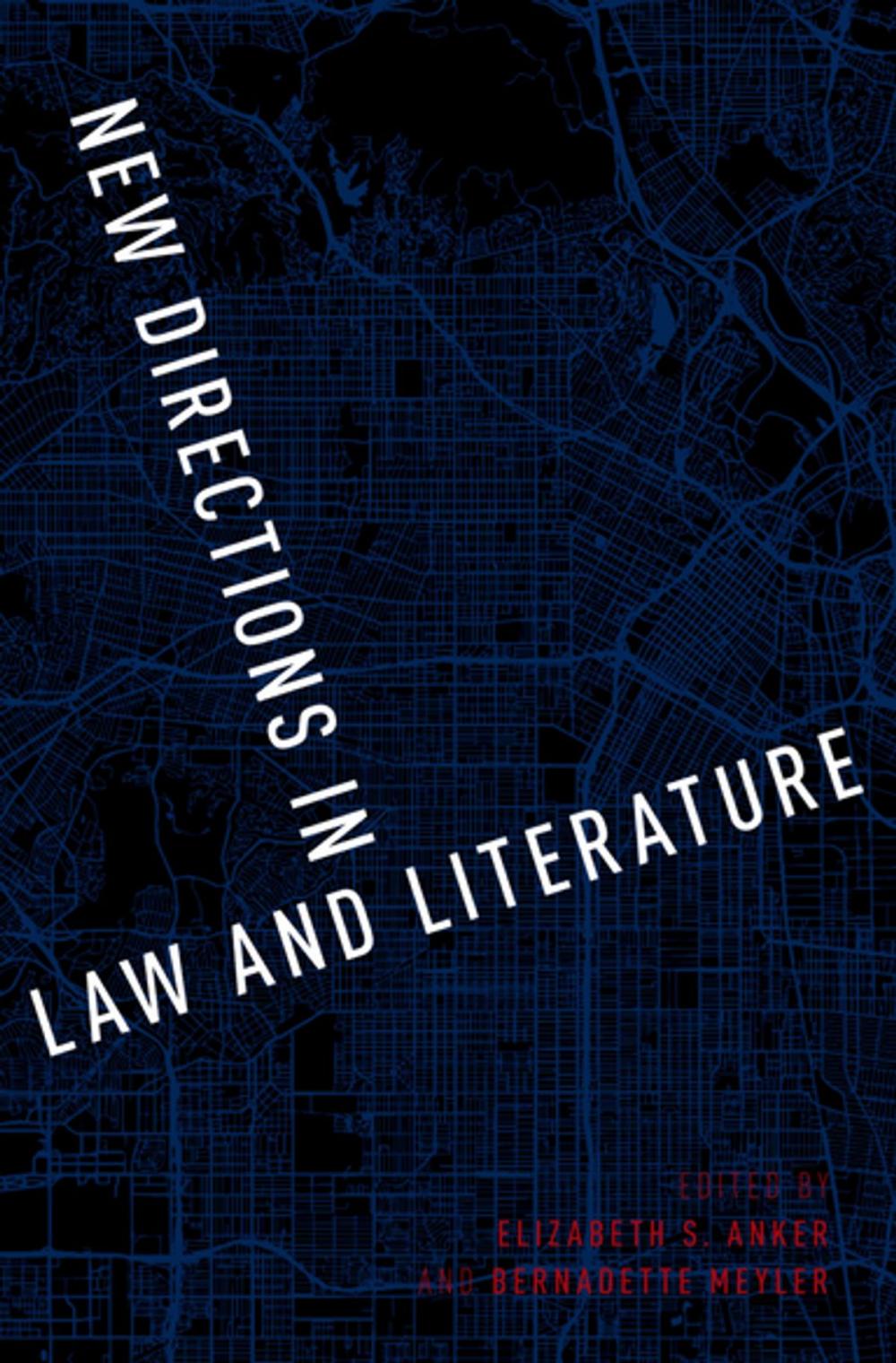 Big bigCover of New Directions in Law and Literature