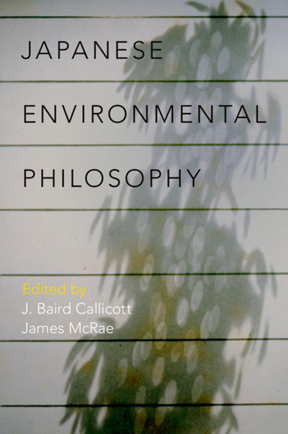 Big bigCover of Japanese Environmental Philosophy