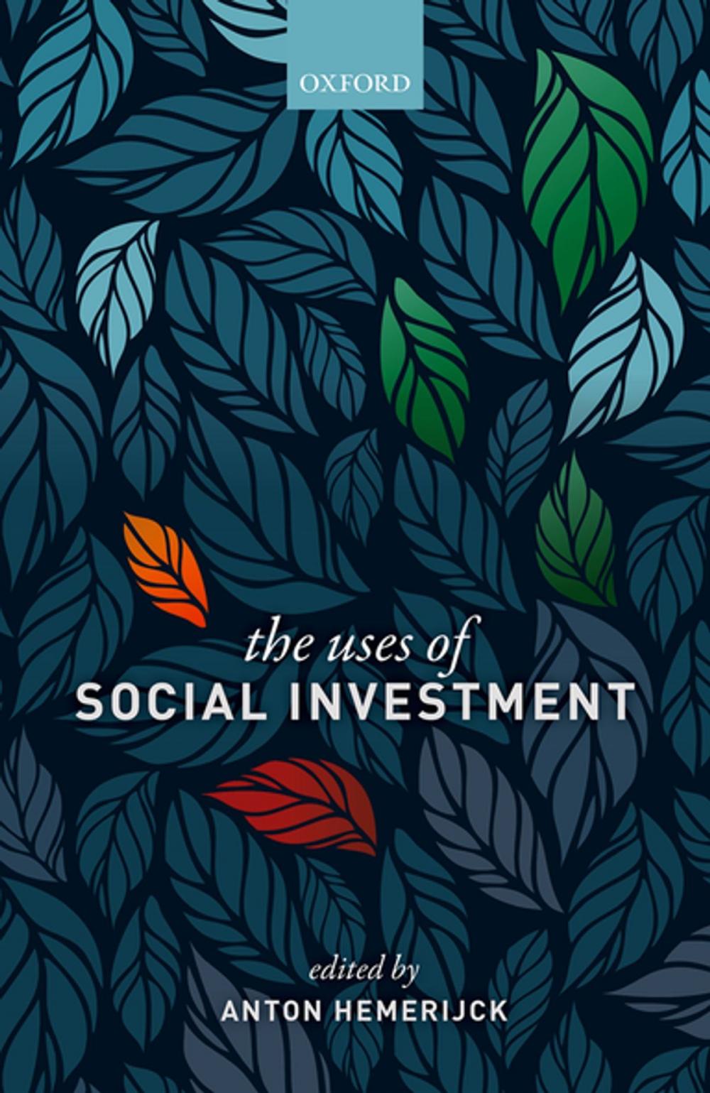 Big bigCover of The Uses of Social Investment