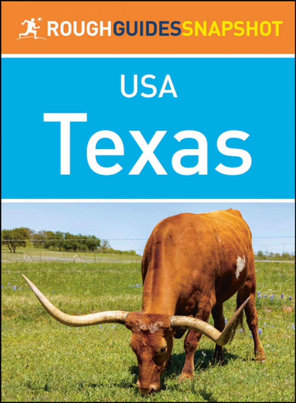 Big bigCover of Texas (Rough Guides Snapshot USA)