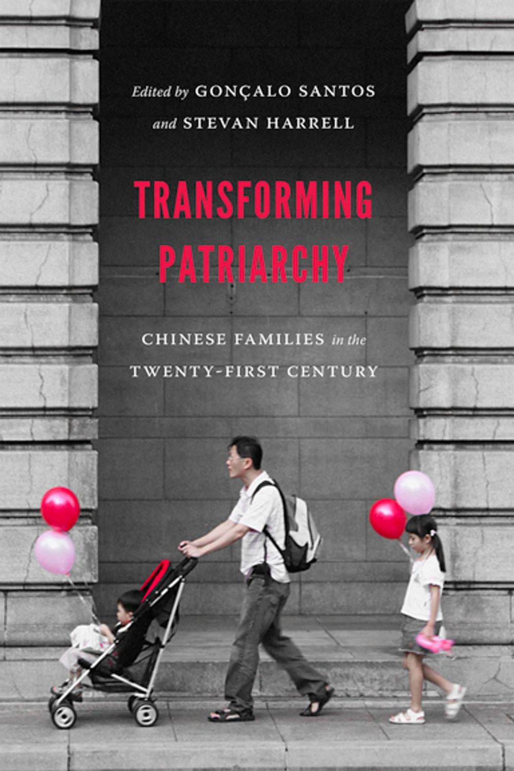 Big bigCover of Transforming Patriarchy