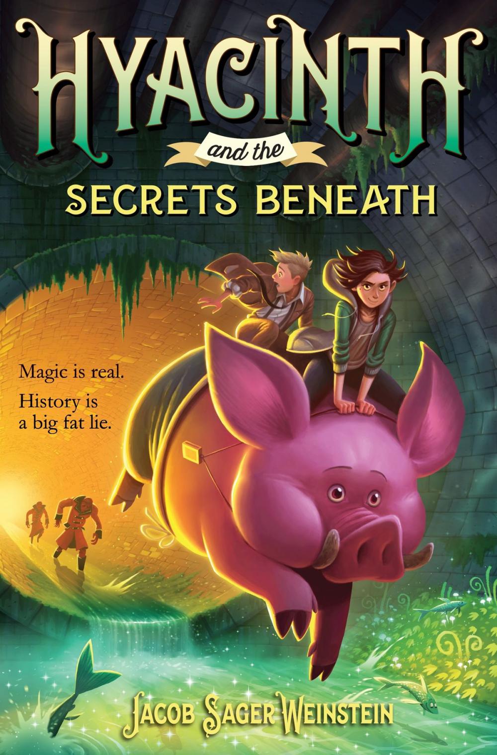 Big bigCover of Hyacinth and the Secrets Beneath