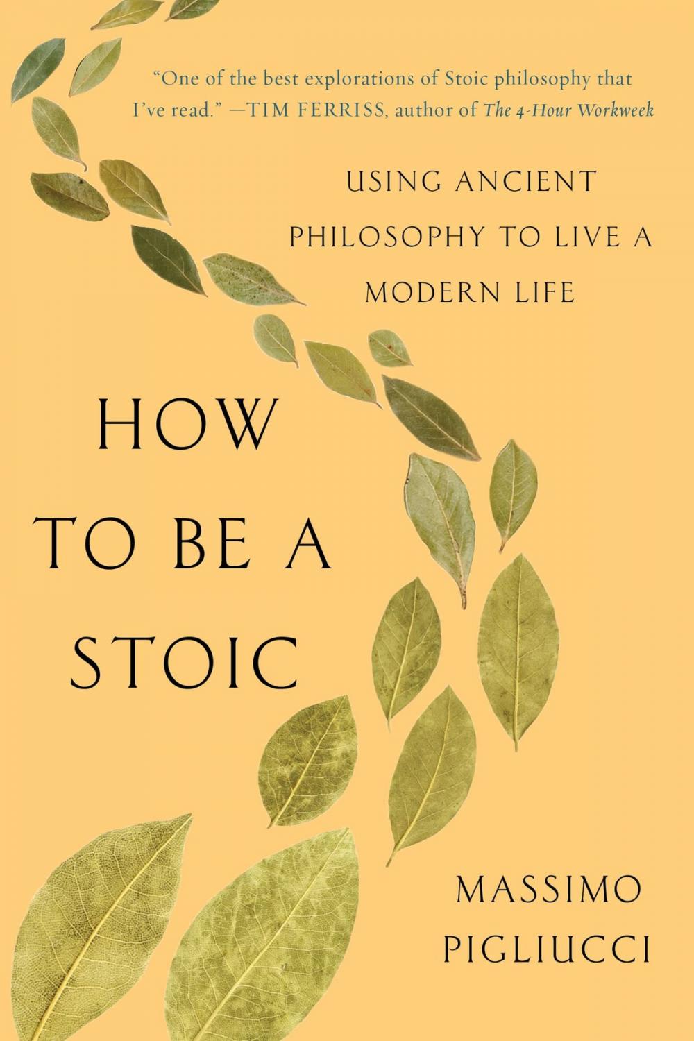 Big bigCover of How to Be a Stoic