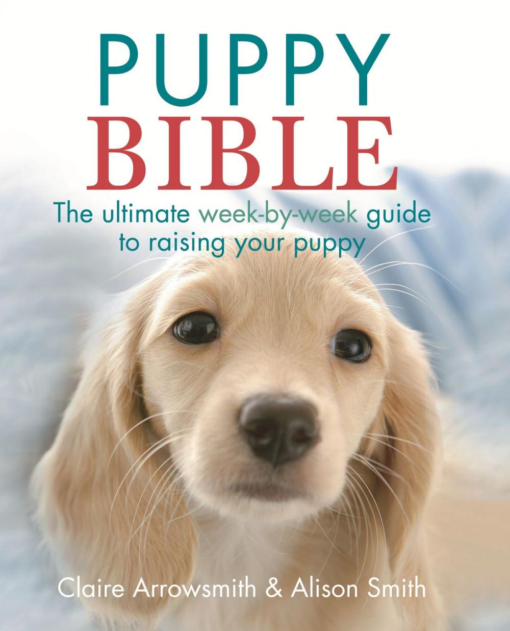 Big bigCover of The Puppy Bible